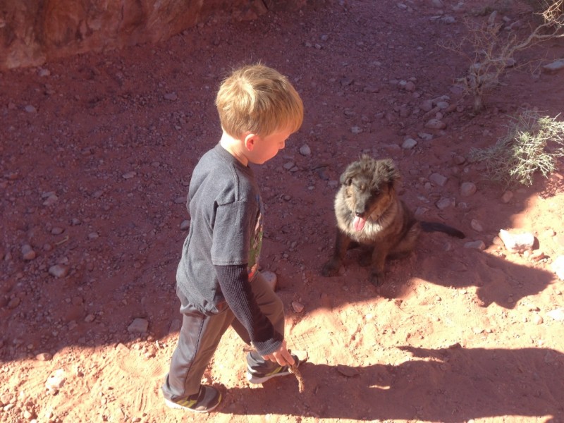 The next day - the boys found a puppy and fell in love with him